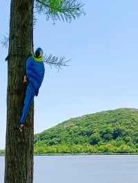 仲喺西湖逼？不如嚟南北湖感受下山水嘅寧靜啦！