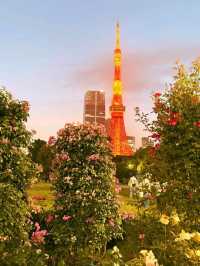 東京芝公園超詳細交通攻略，東京塔最佳打卡地 