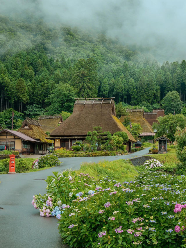 🌻美山町 | 闖入童話般的向日葵花海