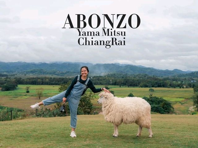 เที่ยวเชียงราย ฟาร์มแกะและคาเฟ่ Abonzo