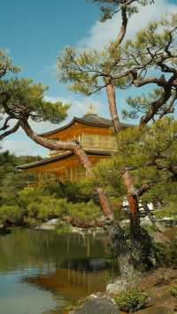 穿越千年京都：一座城市，半部日本史