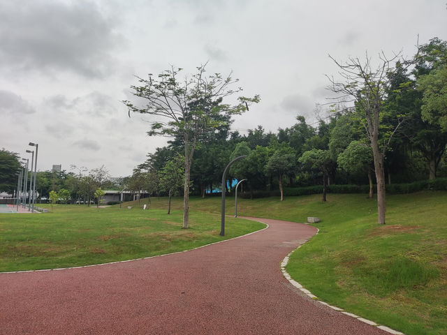 深圳時光，蔚徕酒店的精緻邂逅