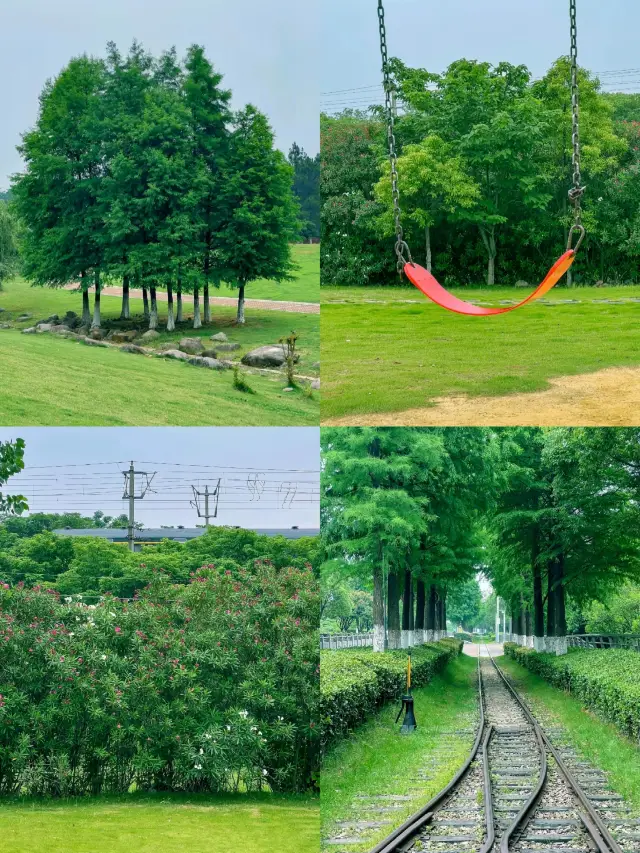 Fenghuangzhou Wetland Park