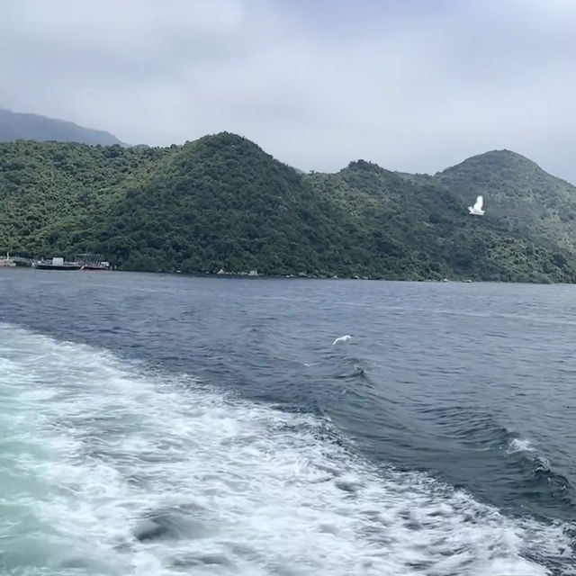 🌊從澳門跨境香港，坐船出發隱藏秘境塔門島