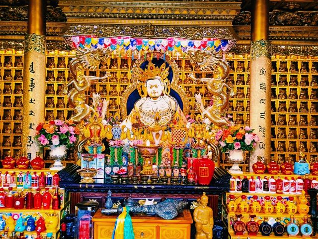 From Bunk Beds to Butter Lamps: A Night Inside Kumbum Monastery