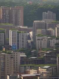 達州旅遊攻略|呢個景點一定要去