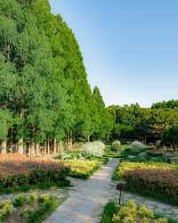 益山秘境｜黃登庭院的花季治癒時刻