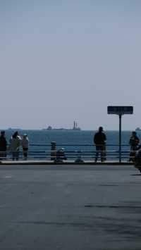 關於春天 | 青島春日漫遊指南