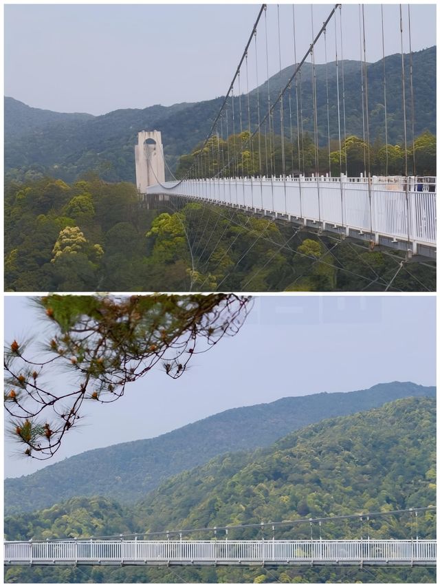 贛州安遠三百山嘅天然氧吧 快樂呼吸