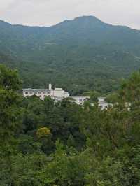 靜宜園裡四處轉轉之探訪青末了——