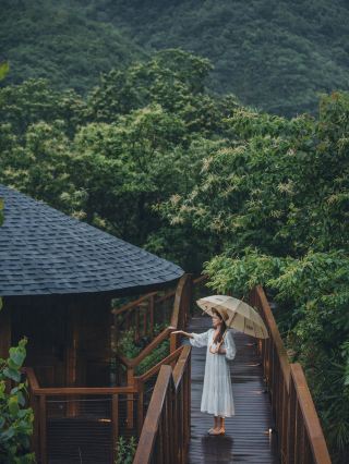 Rainy Day Energy Field: Healing Bamboo Forest Rain Sounds 24h