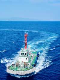 🛳️ 鼓浪嶼號上癮中🌊