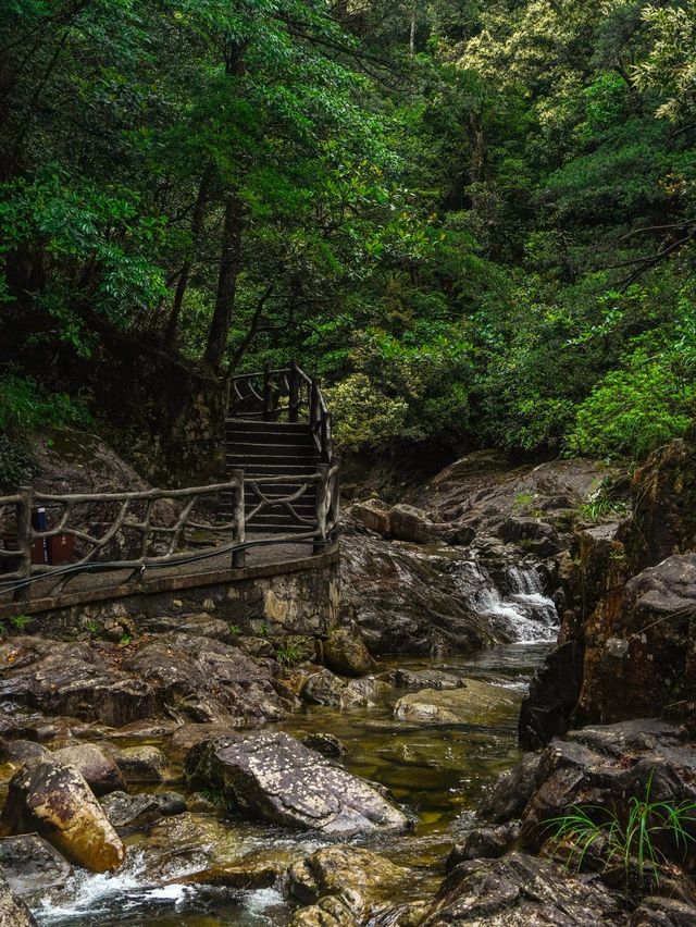 風景唔輸張家界！夏日避暑帶娃衝呢度無痛行山