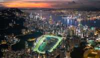 Summer Racing Kicks Off: Experience Hong Kong's Horse Racing Culture