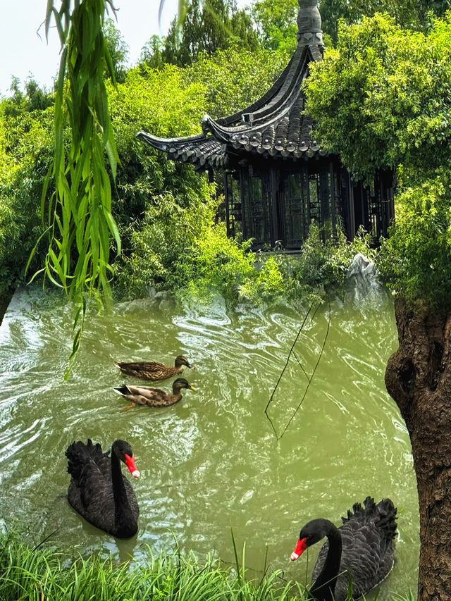 何處能尋那座橋影臥波、槳聲搖碎月光的詩意水鄉？