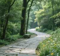 跨越山水，邂逅三地勝景