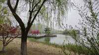 遊雲湖碧波萬頃，探南山竹海綠浪，春季自駕行D12