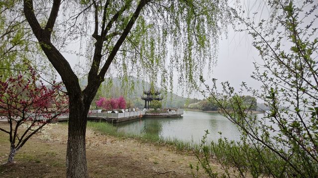 遊雲湖碧波萬頃，探南山竹海綠浪，春季自駕行D12