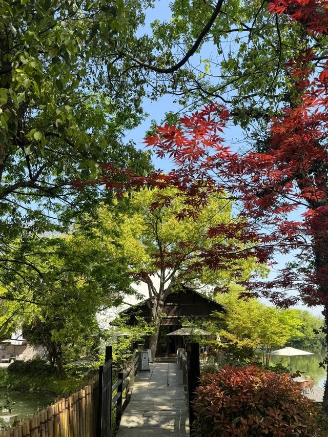 所見西溪｜杭州最有江南詩意嘅隱居之地