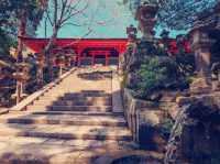 **【穿越千年古韻！大阪春日大社祕境體驗全記錄】**    