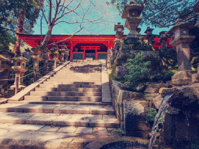 **【穿越千年古韻！大阪春日大社祕境體驗全記錄】**    