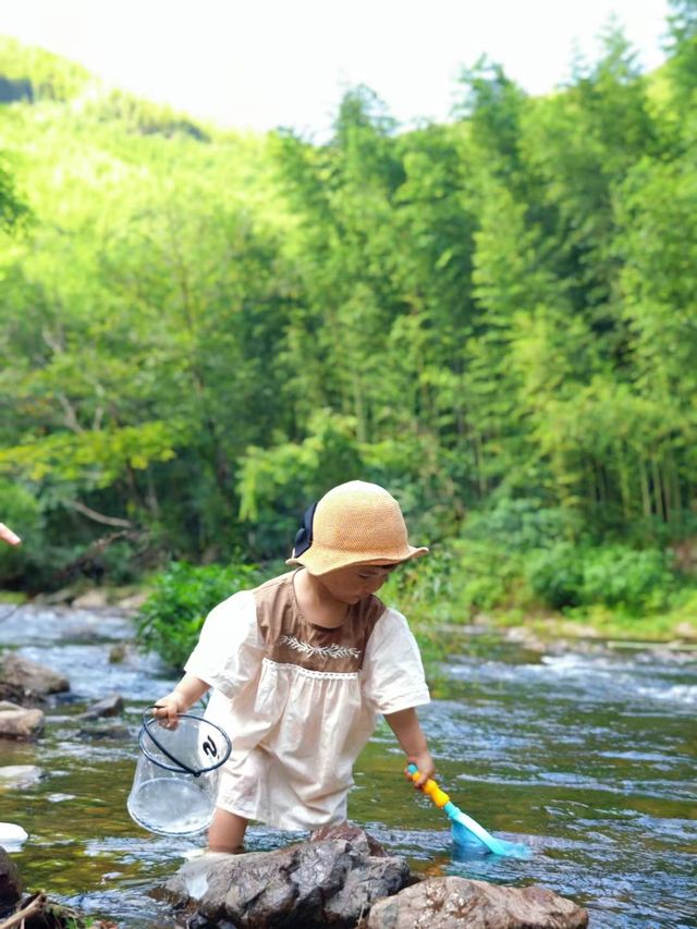 溯溪露營｜帶小朋友躲進莫干山25度的夏日竹海