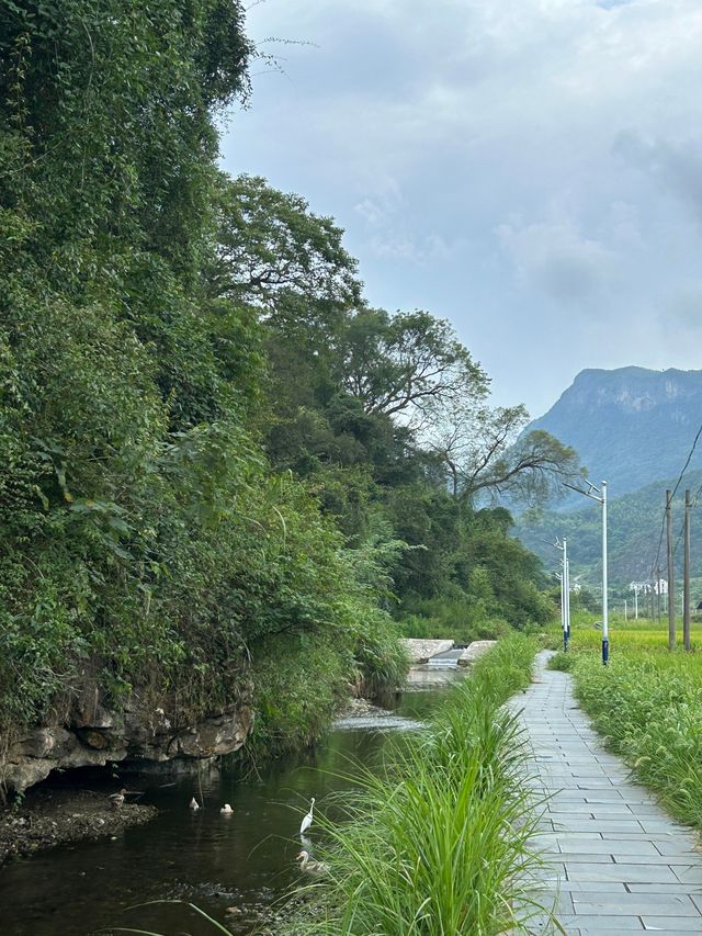 婺源遊山村｜千窗漏月噬龍脊 一溪浮燈鎖商魂