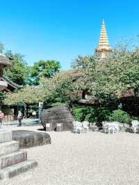 大阪秘境！一心寺「骨佛」震撼奇觀】**  