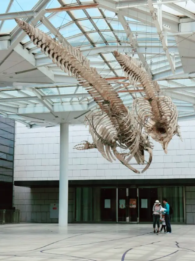 探索生命奧秘!大阪市立自然史博物館必訪指南】**