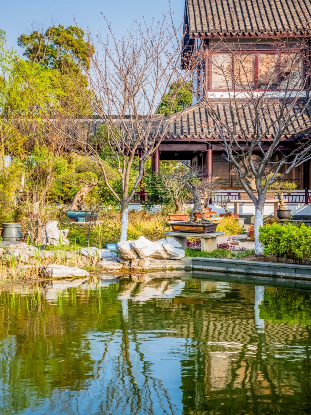 Back from Zhengzhou Yijiangnan Resort, Here's the Unfiltered Truth