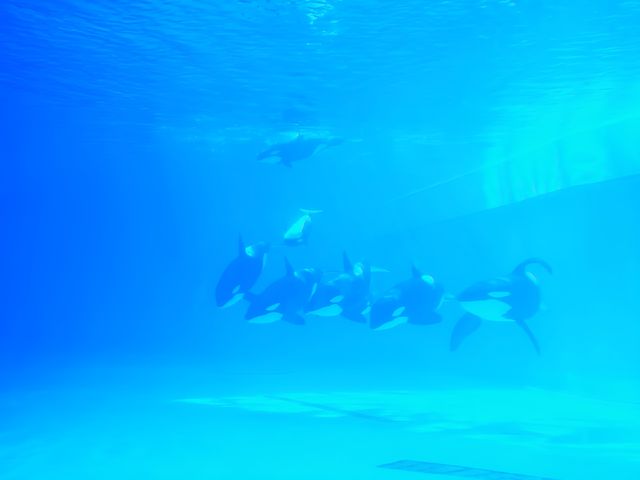 珠海長隆（3）飛船樂園，一日時間有啲趕