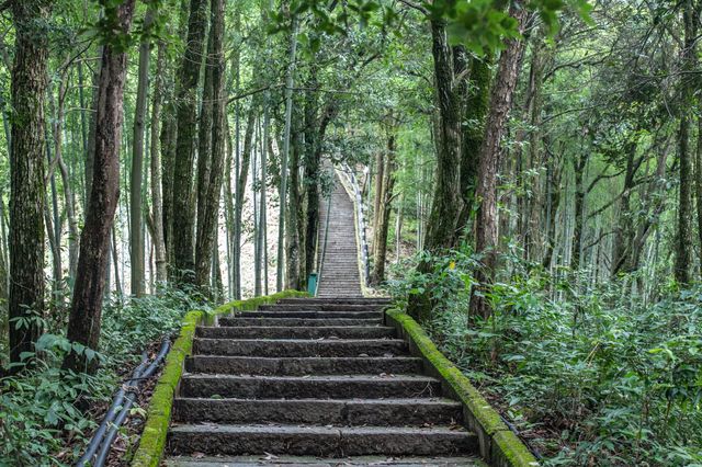 寧國惠雲禪寺：青龍灣一方淨土，環境太仙了！