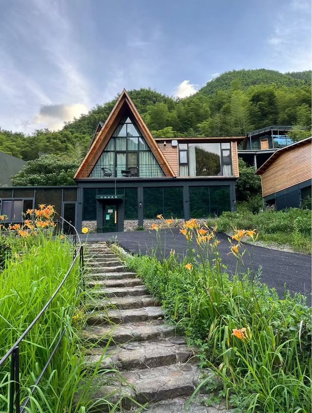 在衢州!住進森林小木屋超chill 在衢州!住進森林小木屋超chill