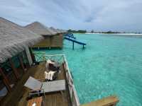Island Bliss