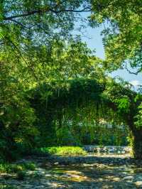 桐廬非常小眾的出片機位|水口禪寺旅遊攻略