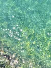 港島最美海岸線行山1.5小時新手友善路線！衝呀！