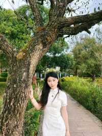 普洱五湖濕地公園｜漫步吸氧天堂，拍照散步絕了！