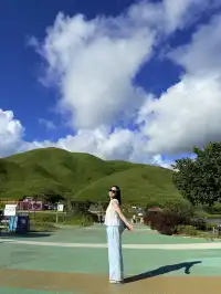 寧德柘榮鴛鴦草場。