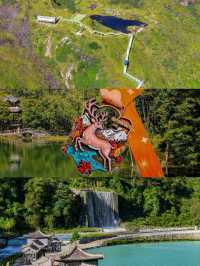 國慶尋幽二郎山喇叭河：成都3h直達的綠野仙蹤，與野生水鹿共晨