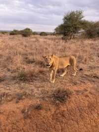 Perfect Honeymoon Experience at Ololo