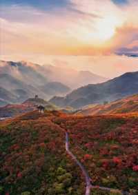 大圍山2天避暑攻略