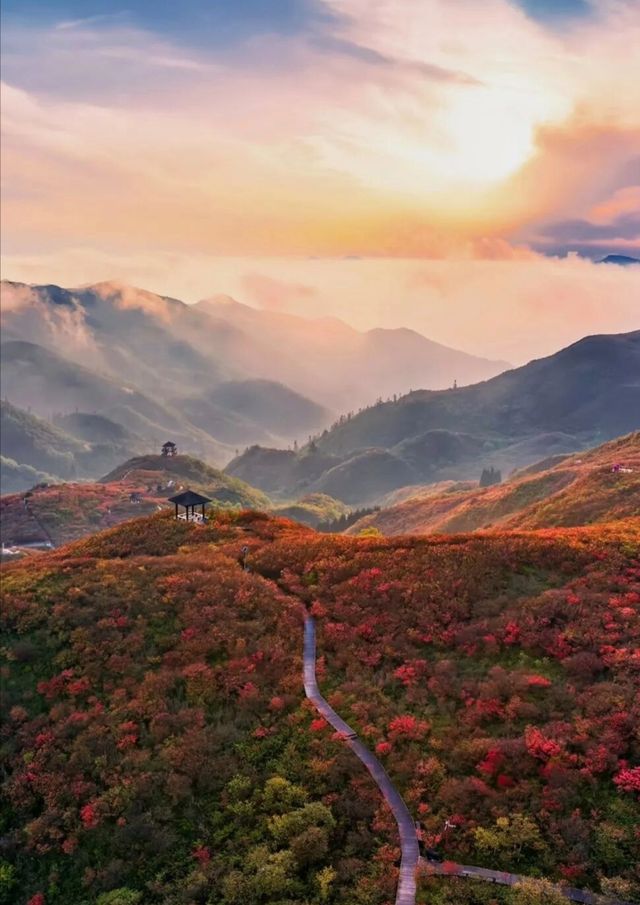 大圍山2天避暑攻略