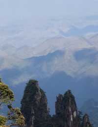 莽山住這-步行到漂流+近森林公園太省心了