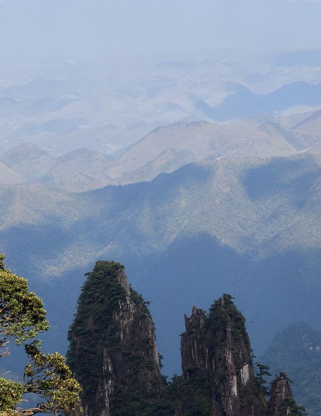 莽山住這-步行到漂流+近森林公園太省心了