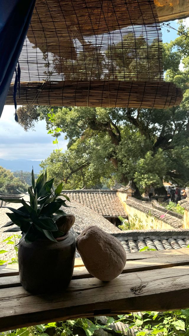 有風的地方同款小院