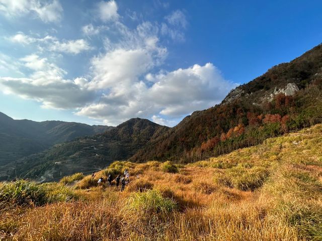 去南黃古道，抓住最後的秋天