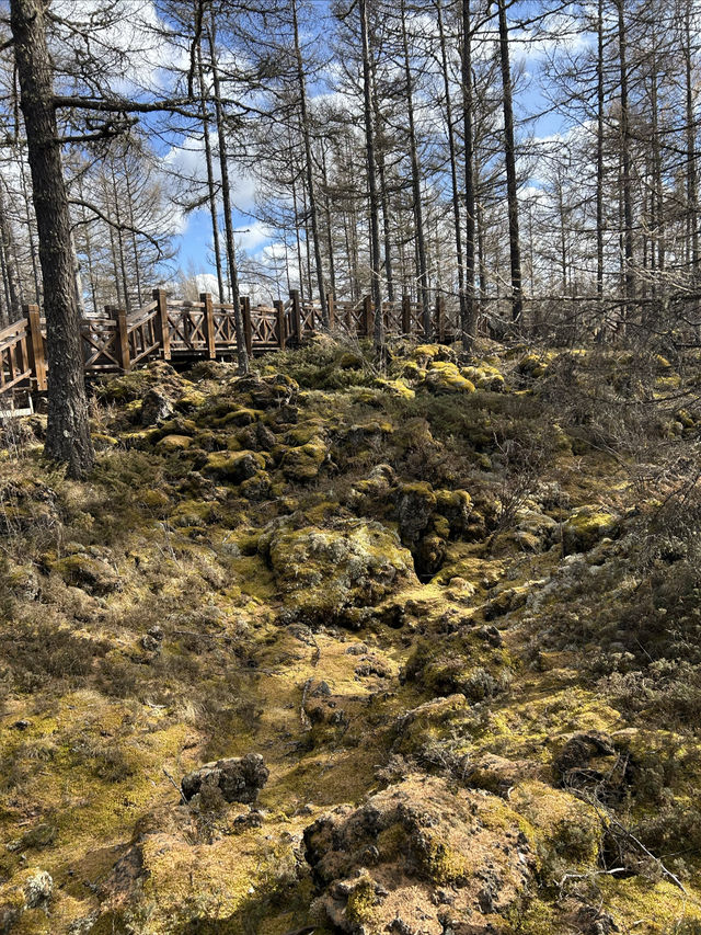 阿爾山火山奇觀！駝峰嶺天池+不凍河神仙CP，私藏內蒙天花板級秋色！ 此生必去！阿爾山國家森林公