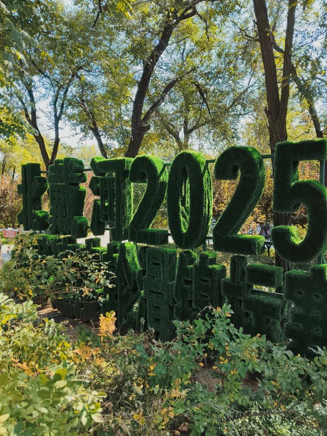 北戴河仙境暴走！500米登頂瞰海全景，劉莊夜市吃到撐！ 必去理由 山海畫卷！聯峰山登頂，承包