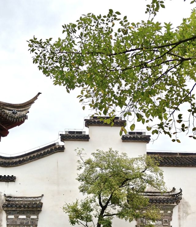 上海廣富林|在6000年遺址上遇見浮於水上的千年秘境 上海廣富林|在6000年遺址上遇見浮於水上的千年秘境