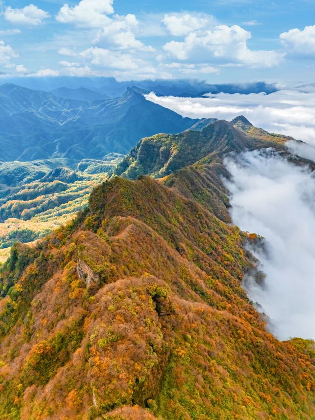被《國家地理》評為中國最美紅葉秘境，有多絕